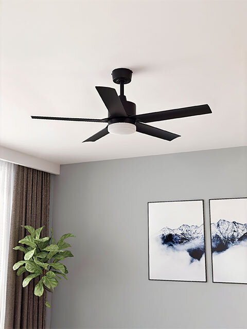 Ceiling & Exhaust Fans